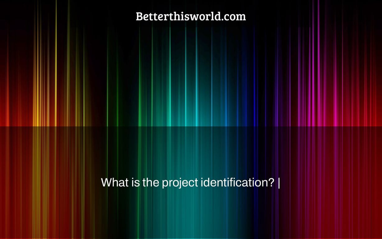 What is the project identification? |