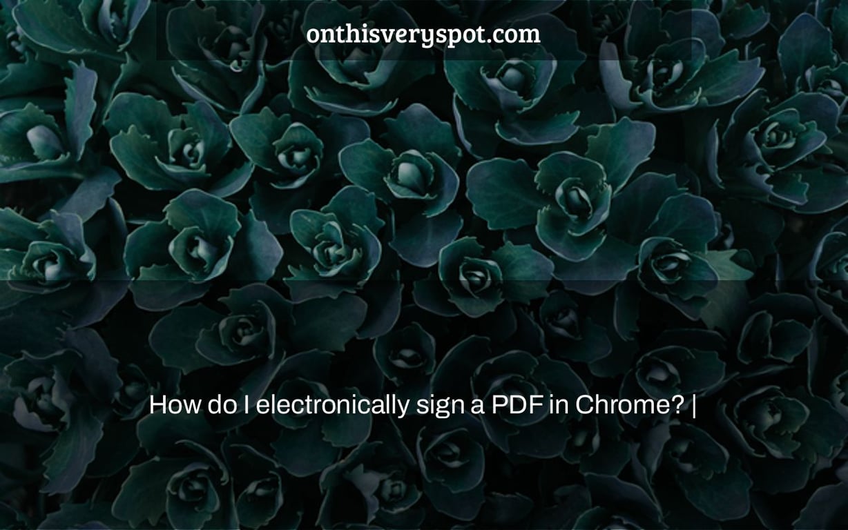 How do I electronically sign a PDF in Chrome? |