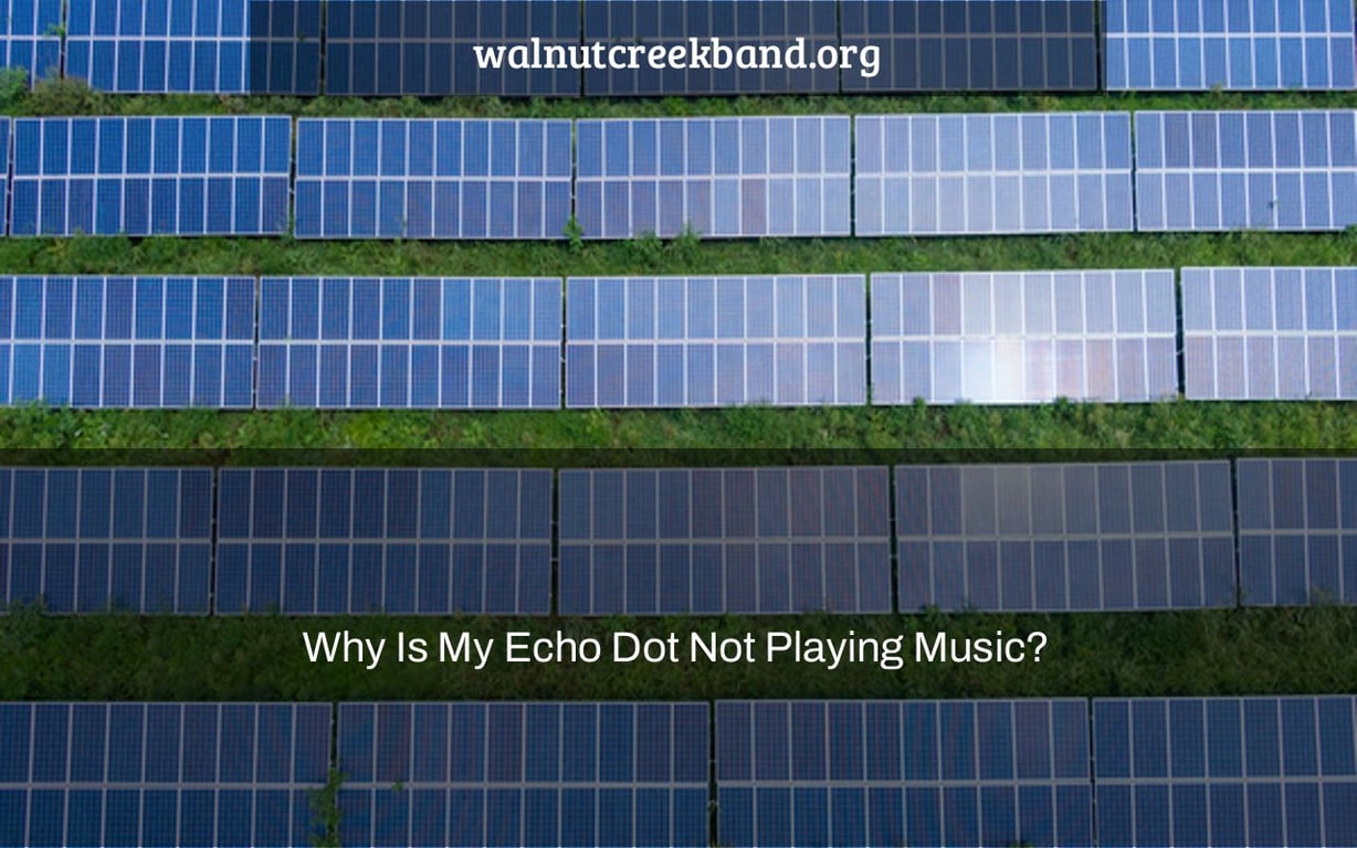 Why Is My Echo Dot Not Playing Music?