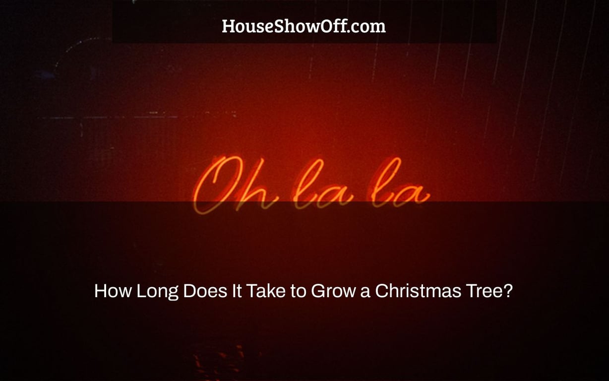 How Long Does It Take to Grow a Christmas Tree?