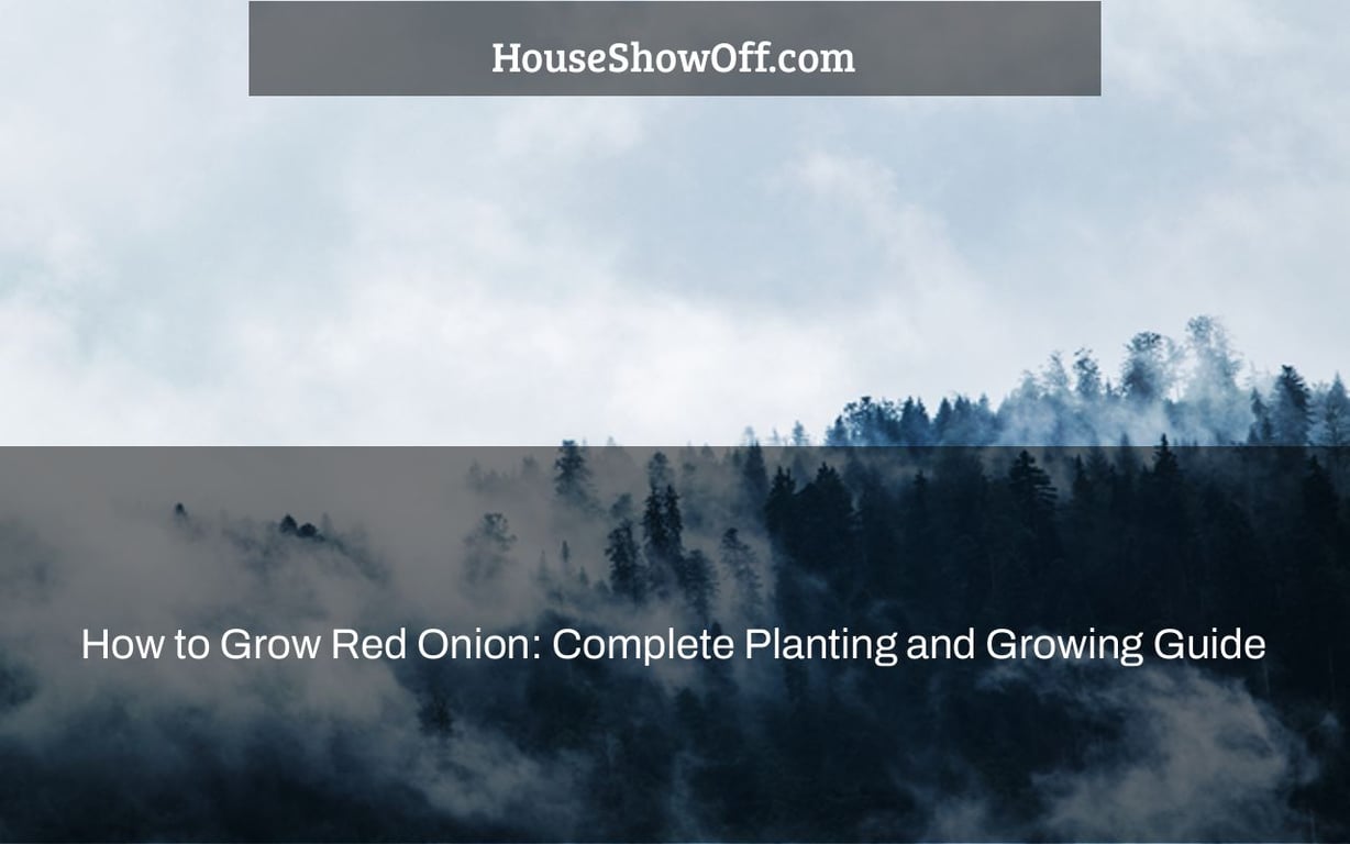 How to Grow Red Onion: Complete Planting and Growing Guide