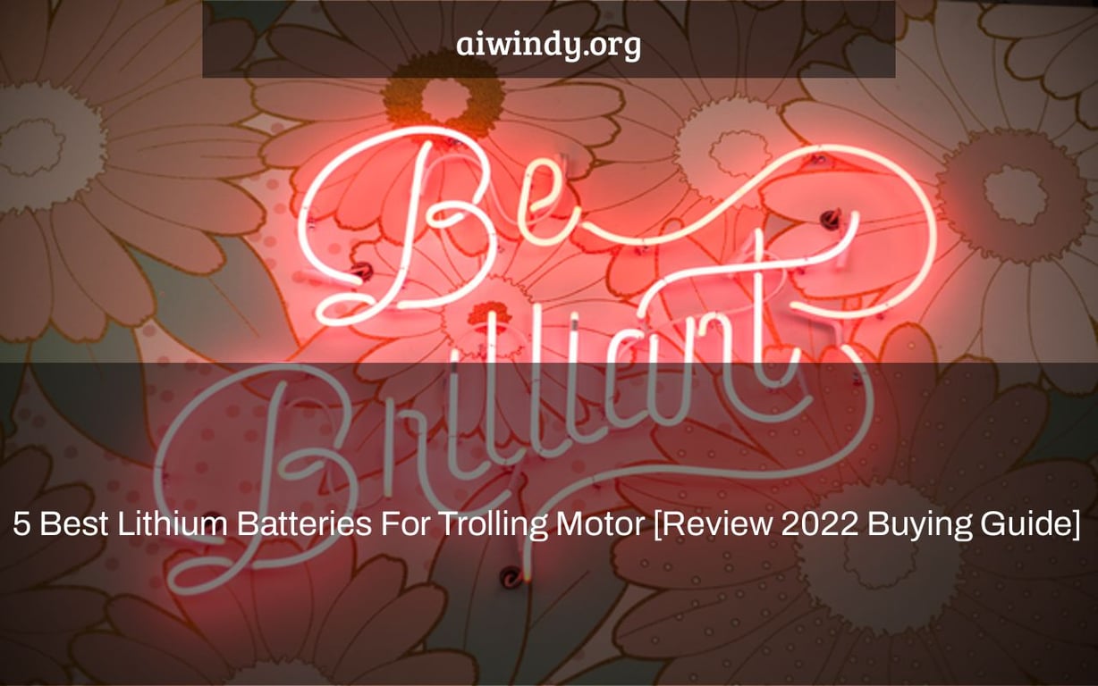 5 Best Lithium Batteries For Trolling Motor [Review 2022+Buying Guide] 