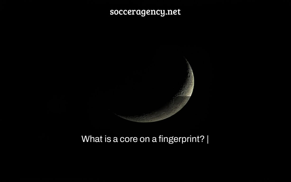 What is a core on a fingerprint? |