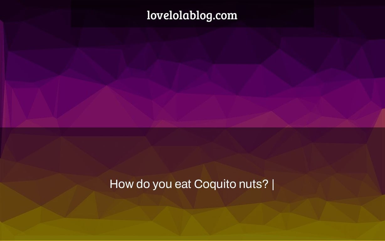 How do you eat Coquito nuts? |