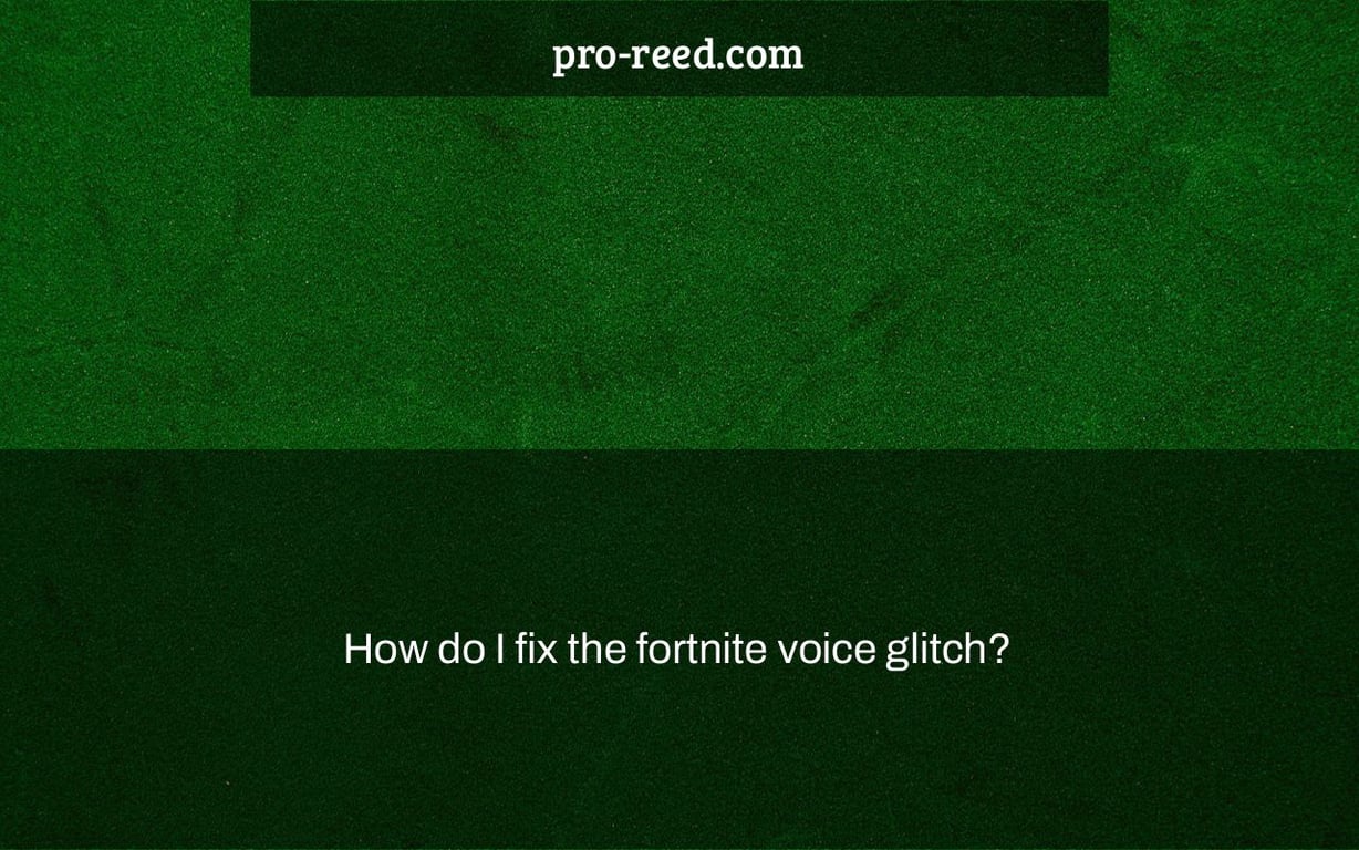 How do I fix the fortnite voice glitch?