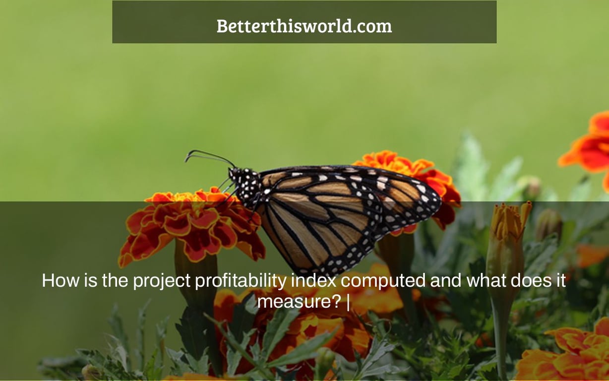 How is the project profitability index computed and what does it measure? |