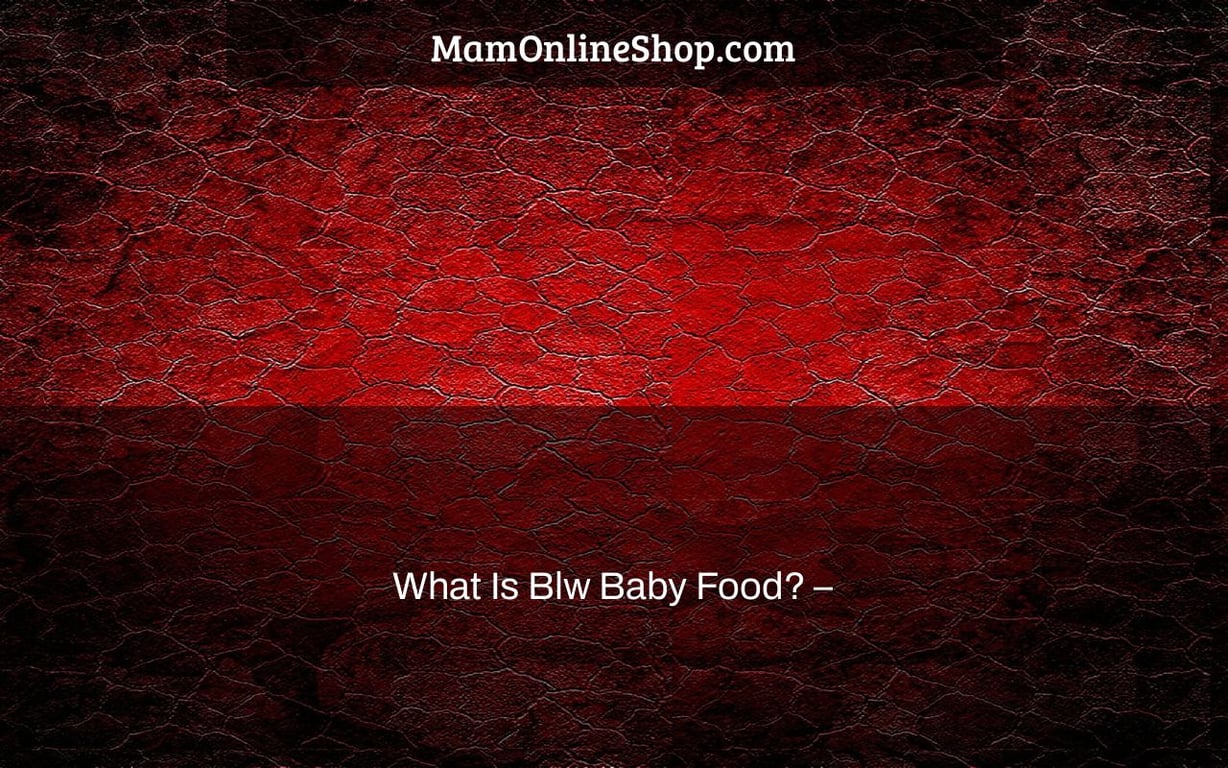 What Is Blw Baby Food? –