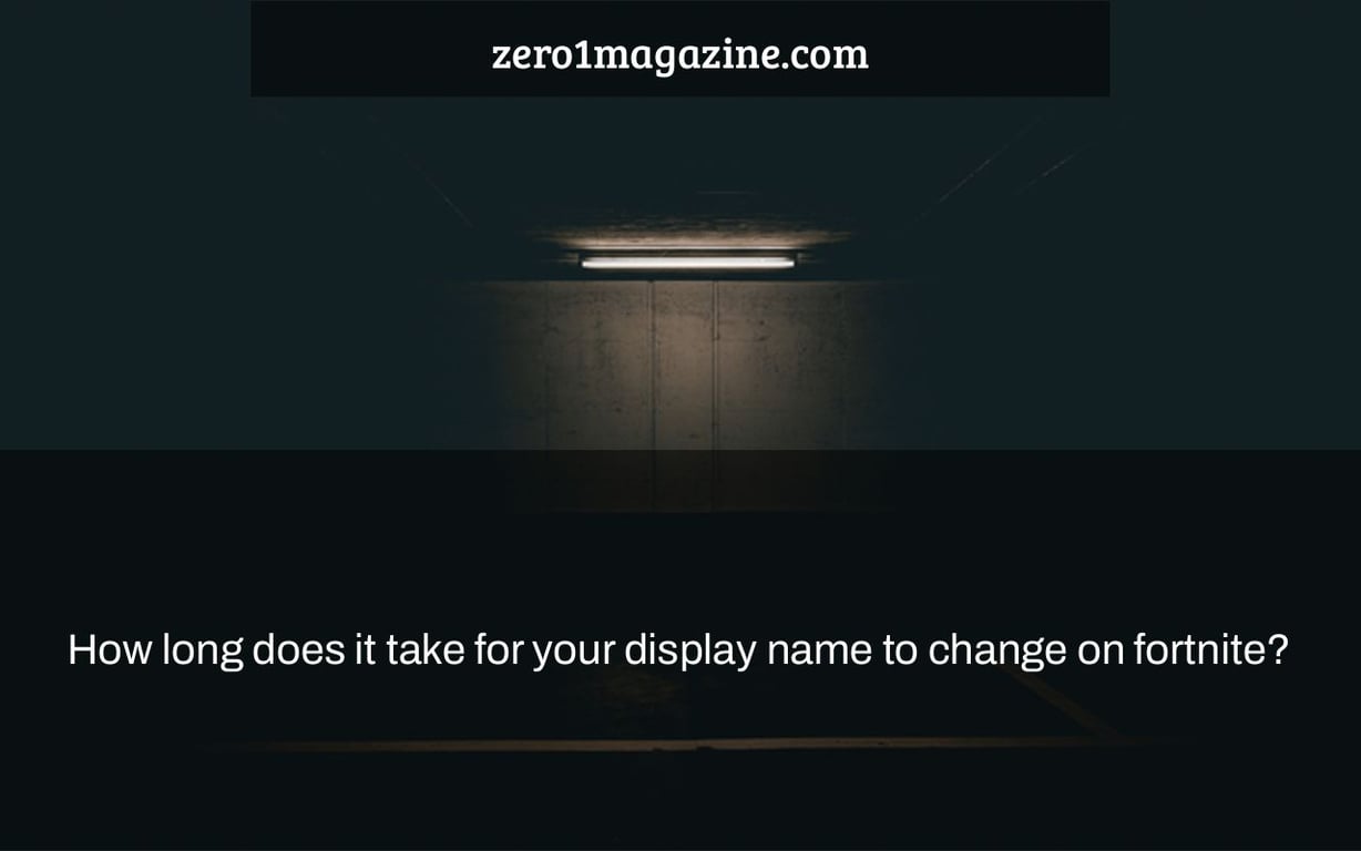 How long does it take for your display name to change on fortnite?