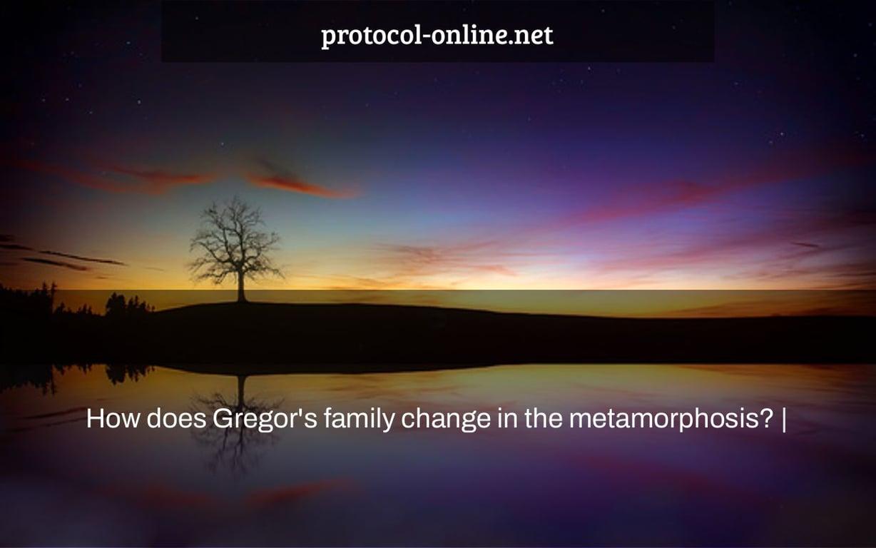 How does Gregor's family change in the metamorphosis? |