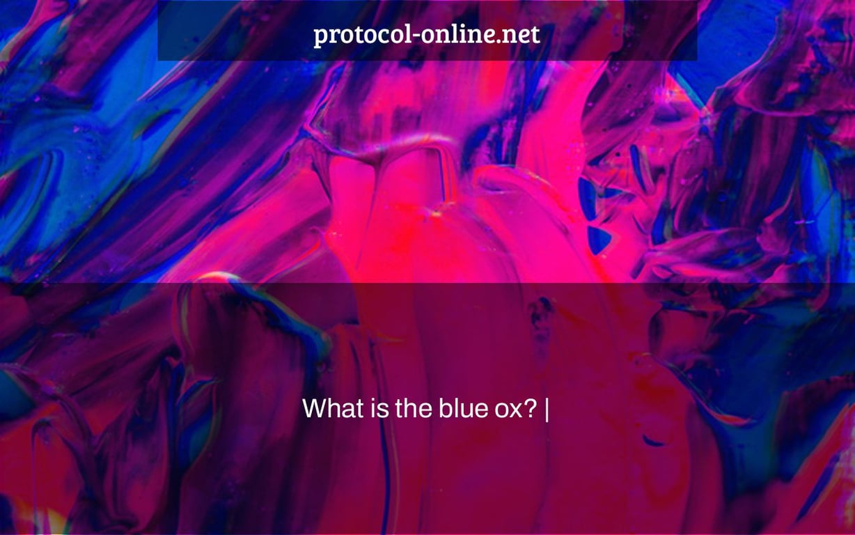 What is the blue ox? |
