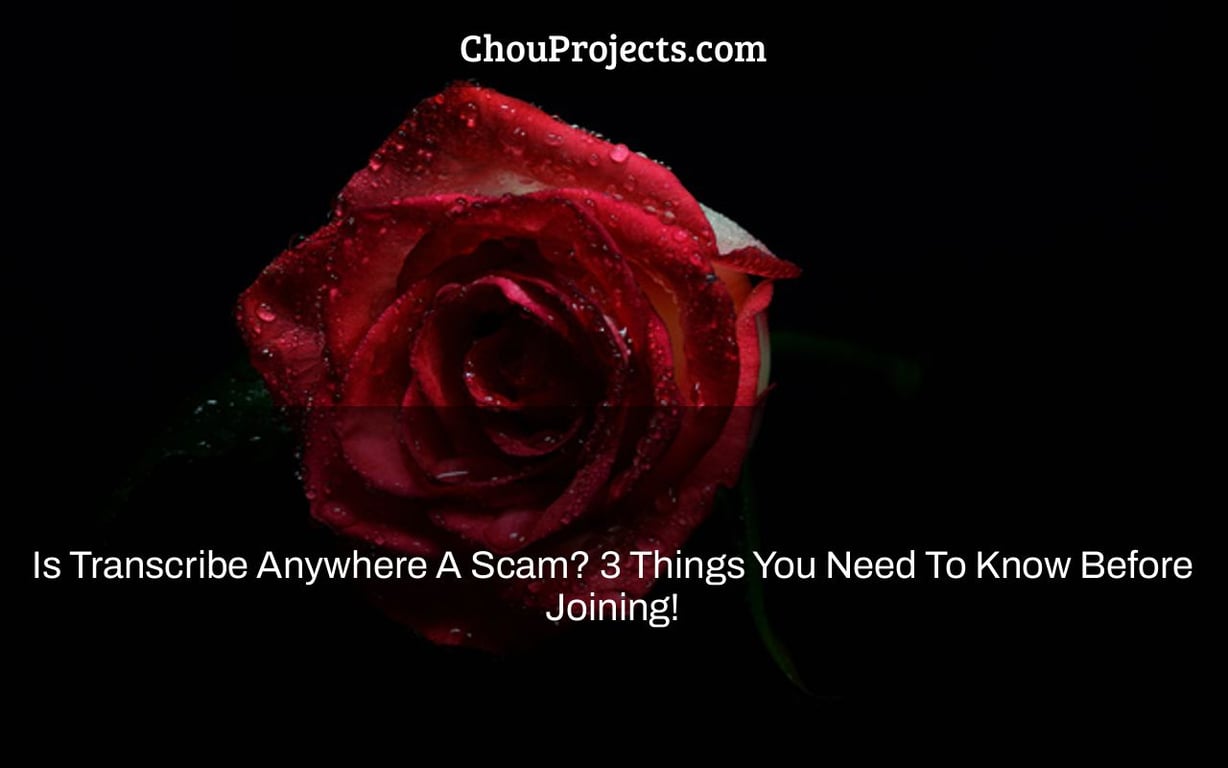 Is Transcribe Anywhere A Scam? 3 Things You Need To Know Before Joining!