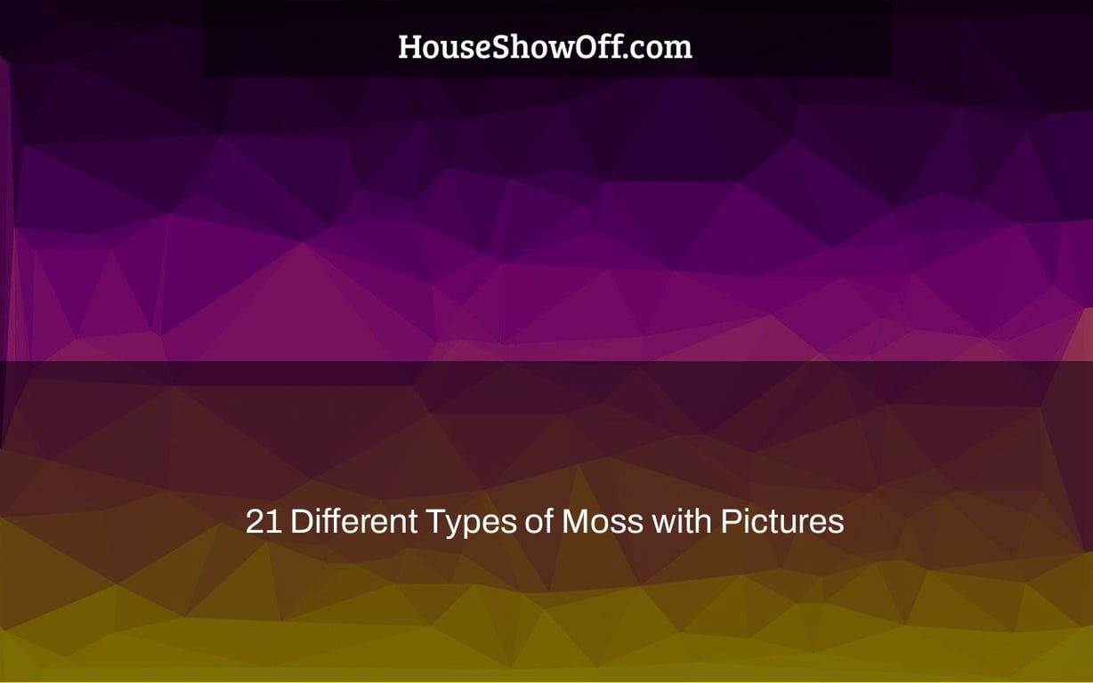21 Different Types of Moss with Pictures