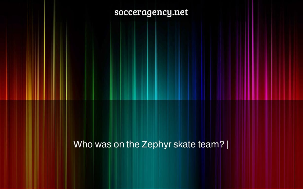 Who was on the Zephyr skate team? |