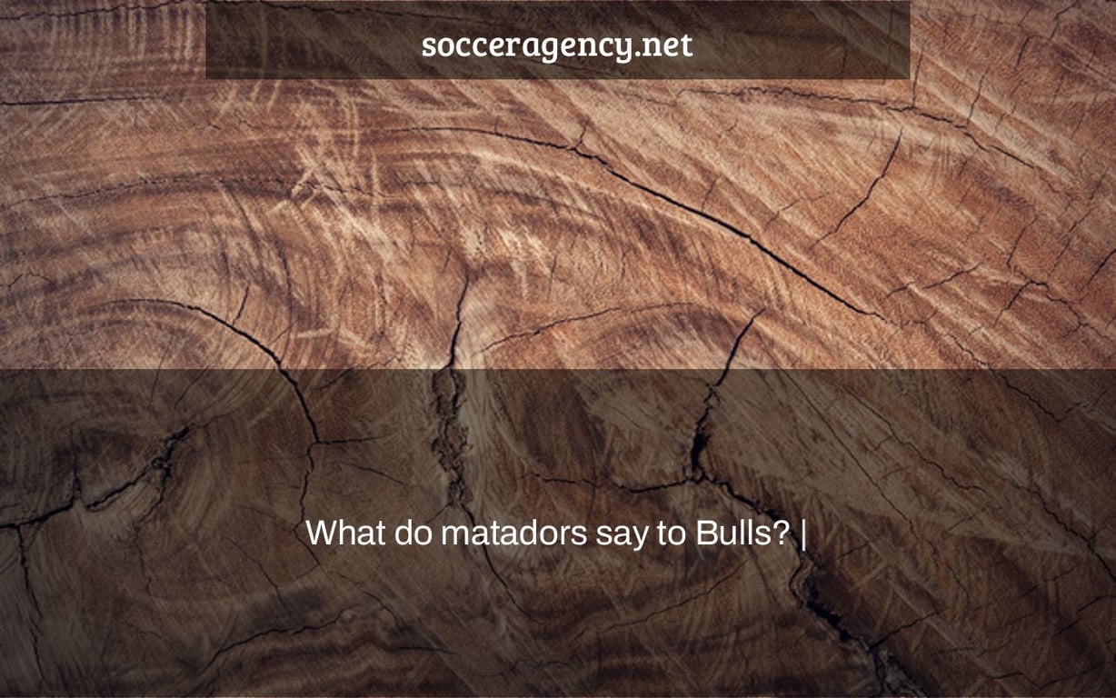 What do matadors say to Bulls? |