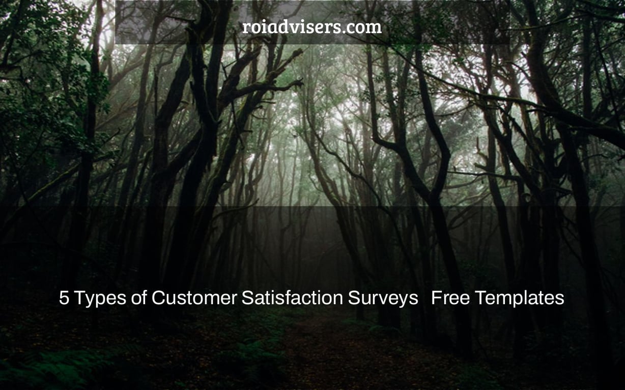 5 Types of Customer Satisfaction Surveys + Free Templates