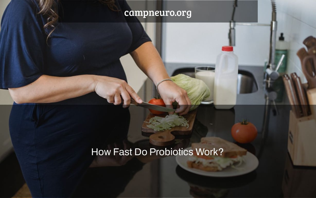 How Fast Do Probiotics Work?