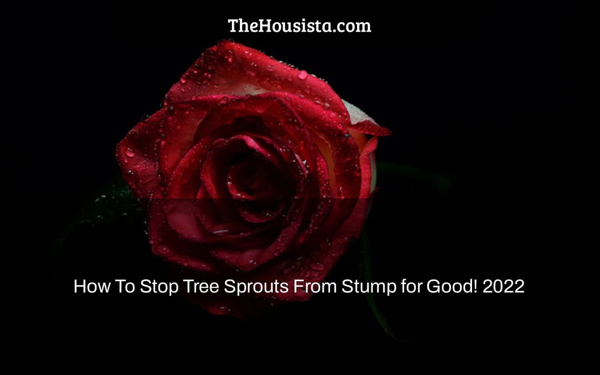 How To Stop Tree Sprouts From Stump for Good! 2022