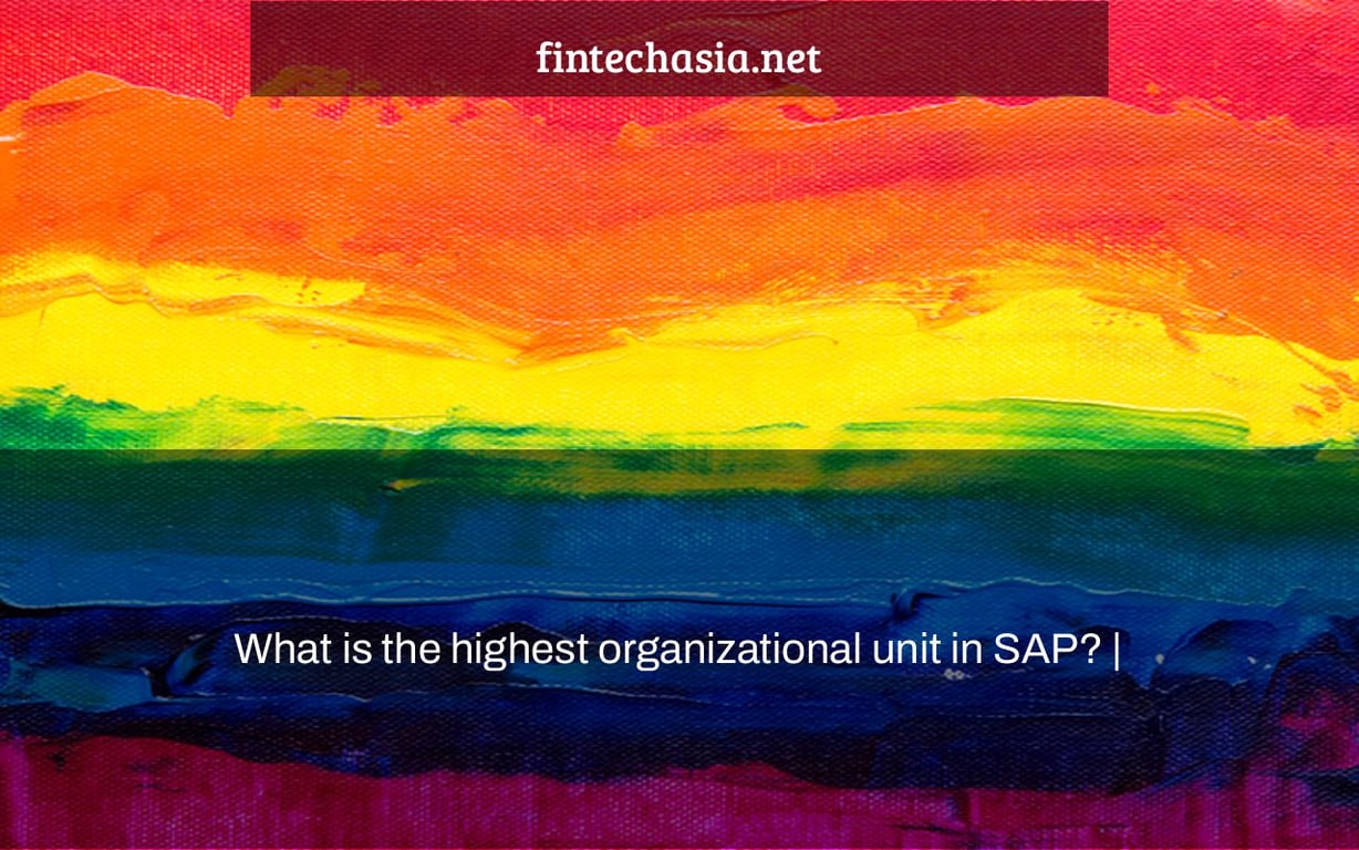 What is the highest organizational unit in SAP? |