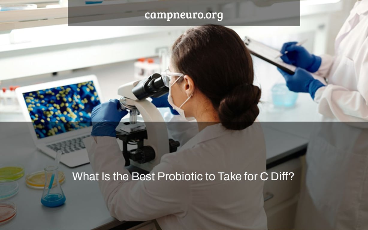 What Is the Best Probiotic to Take for C Diff?