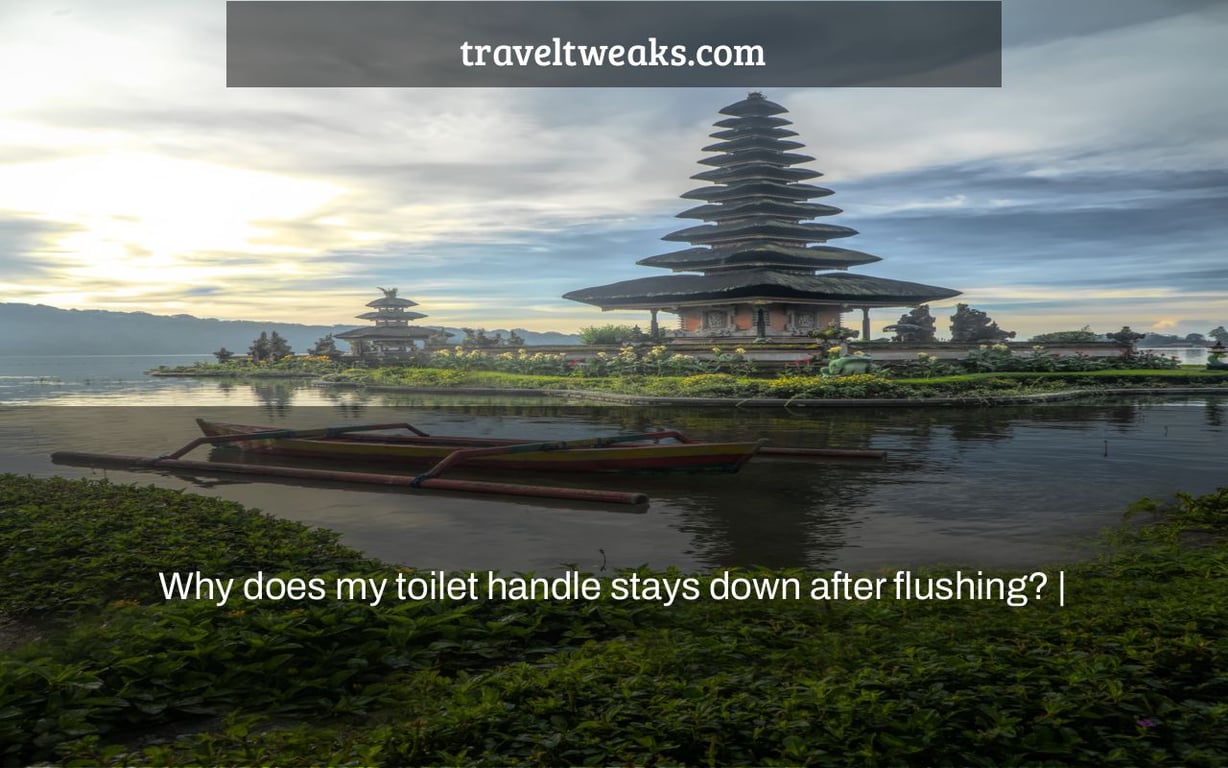 Why does my toilet handle stays down after flushing? |