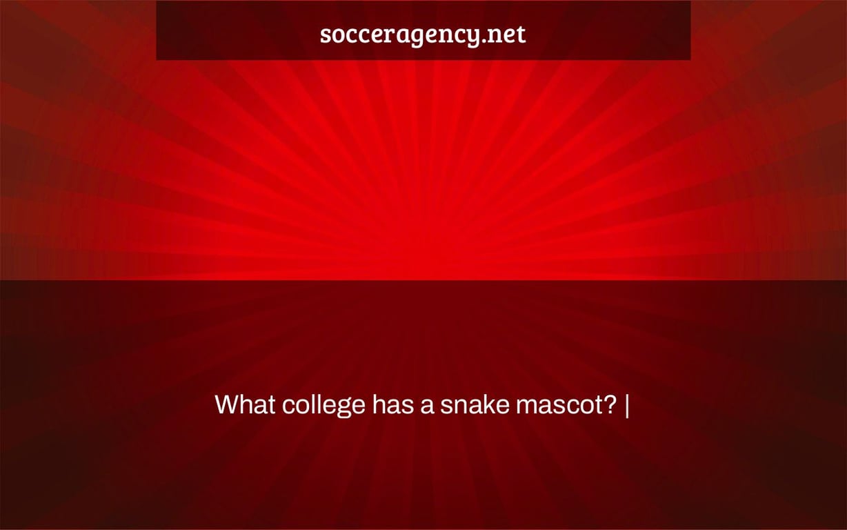 What college has a snake mascot? |