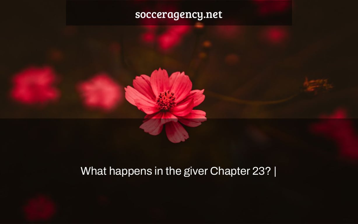 What happens in the giver Chapter 23? |