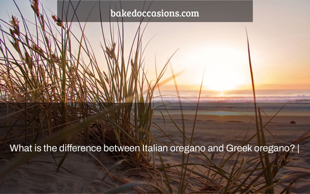 What is the difference between Italian oregano and Greek oregano? |