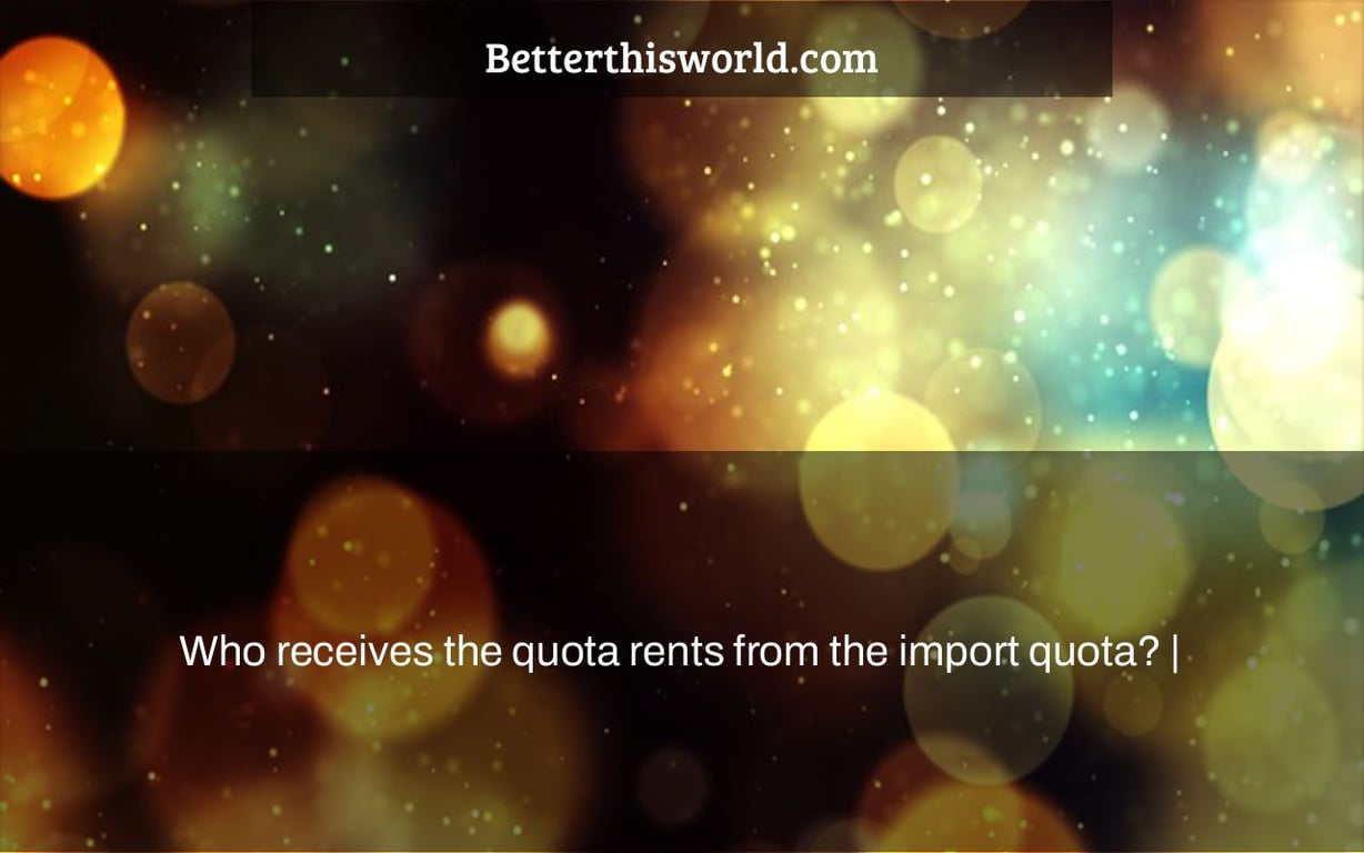 Who receives the quota rents from the import quota? |