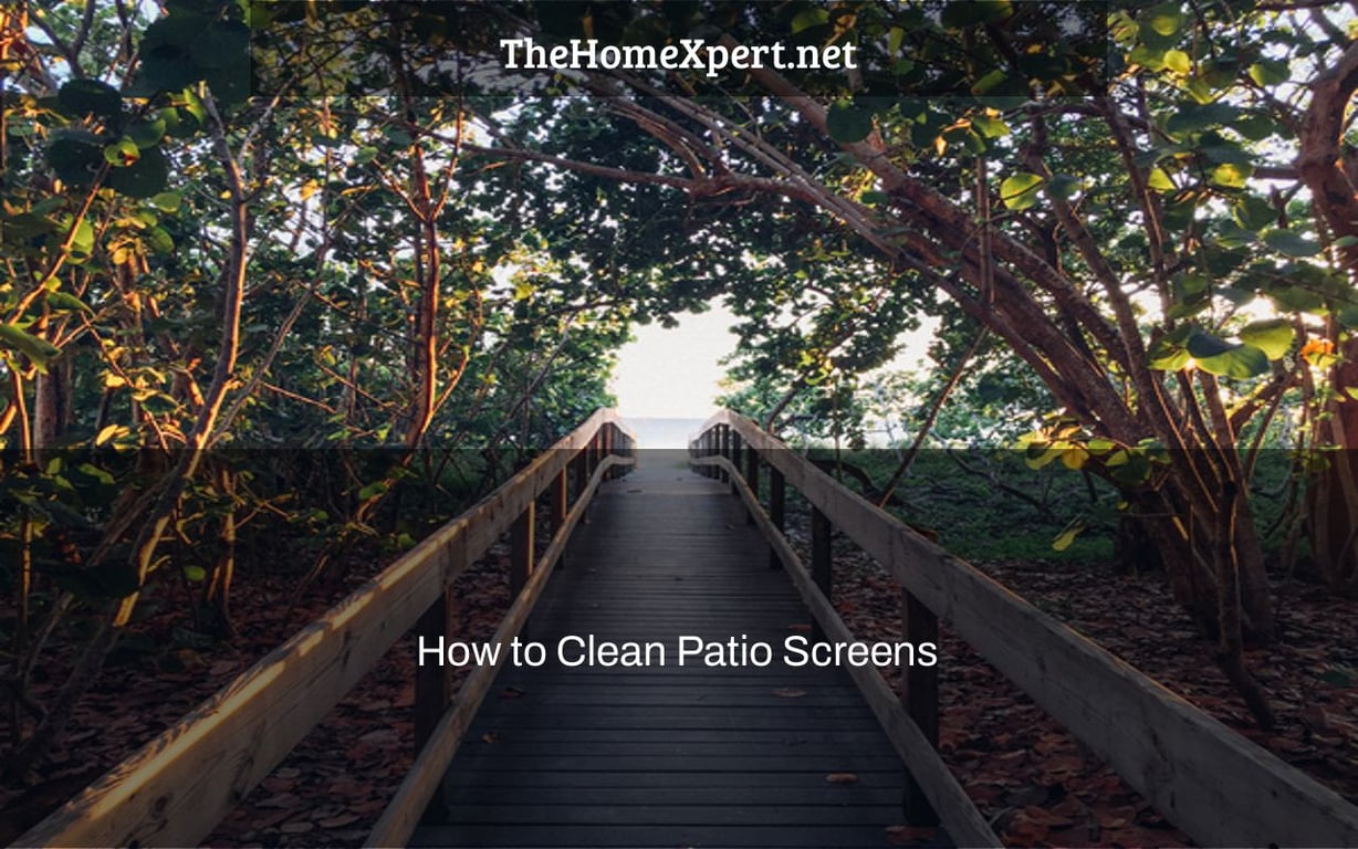 How to Clean Patio Screens The Home Expert