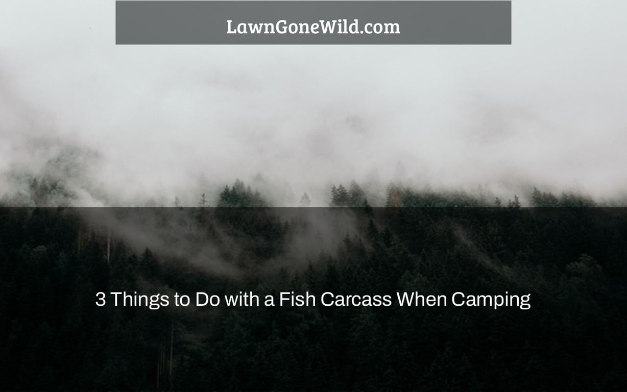 3 Things to Do with a Fish Carcass When Camping Lawn Gone Wild