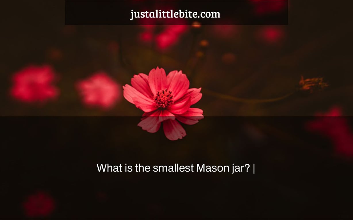 What is the smallest Mason jar? |