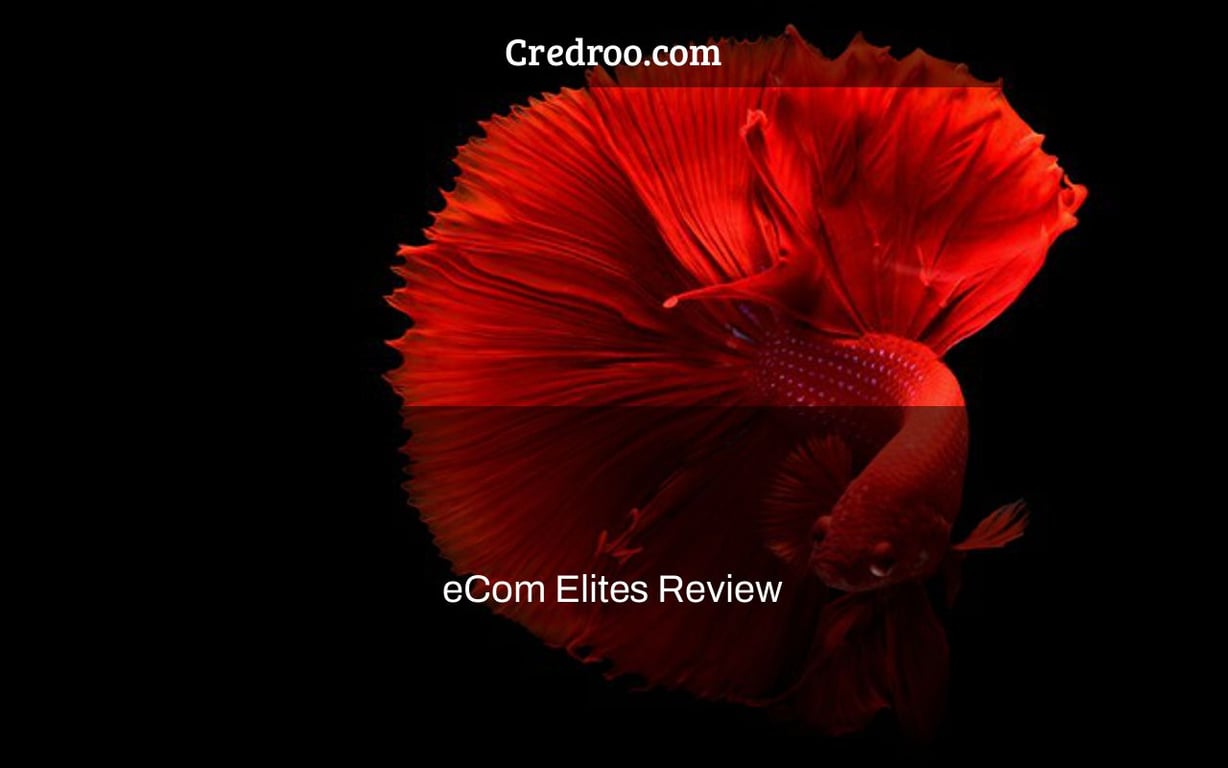 eCom Elites Review