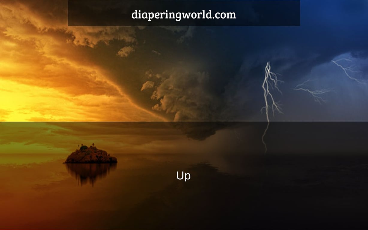 Up & Up Diapers (Size 1 (44 Count) 814 lbs) Bundle with Honest Company