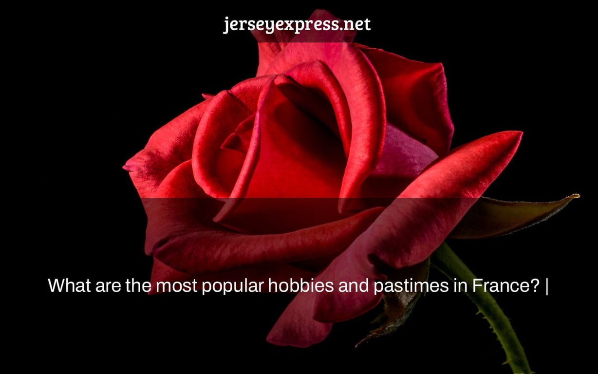 What are the most popular hobbies and pastimes in France? |