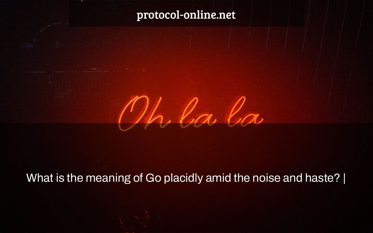 What is the meaning of Go placidly amid the noise and haste? |