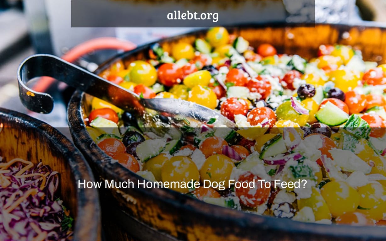 How Much Homemade Dog Food To Feed?