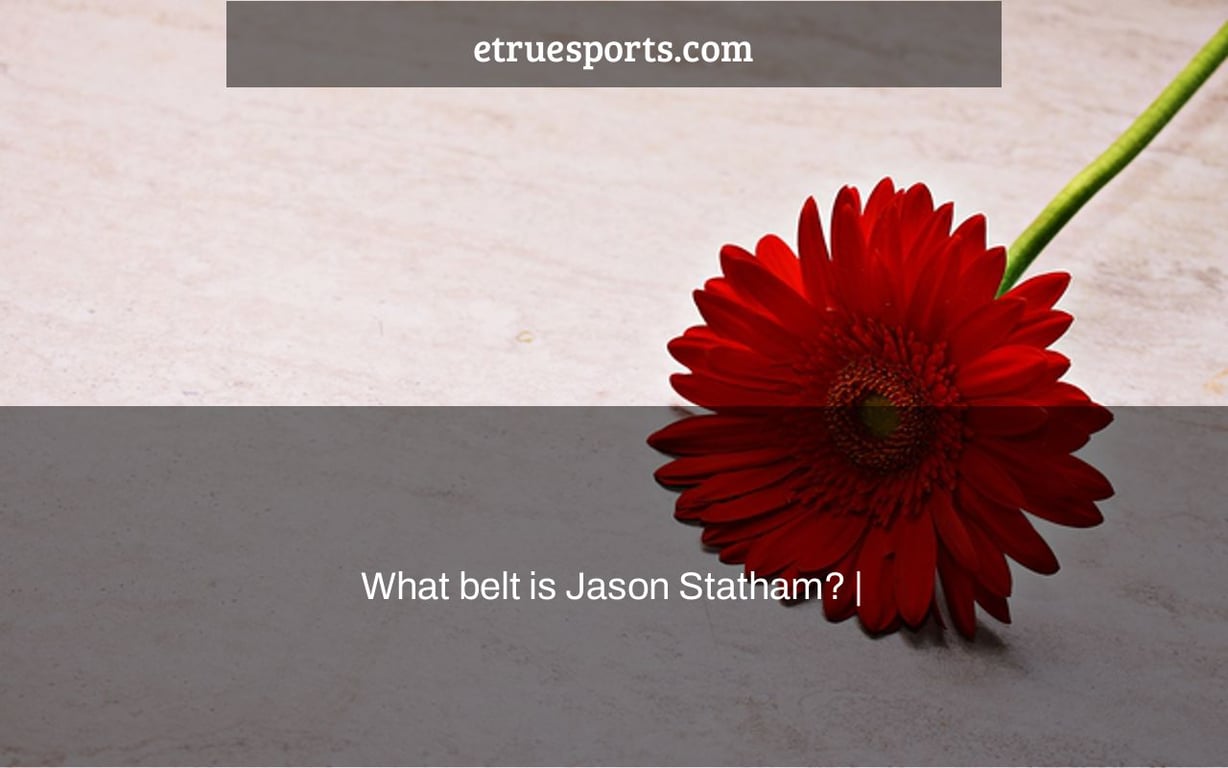 What belt is Jason Statham? |
