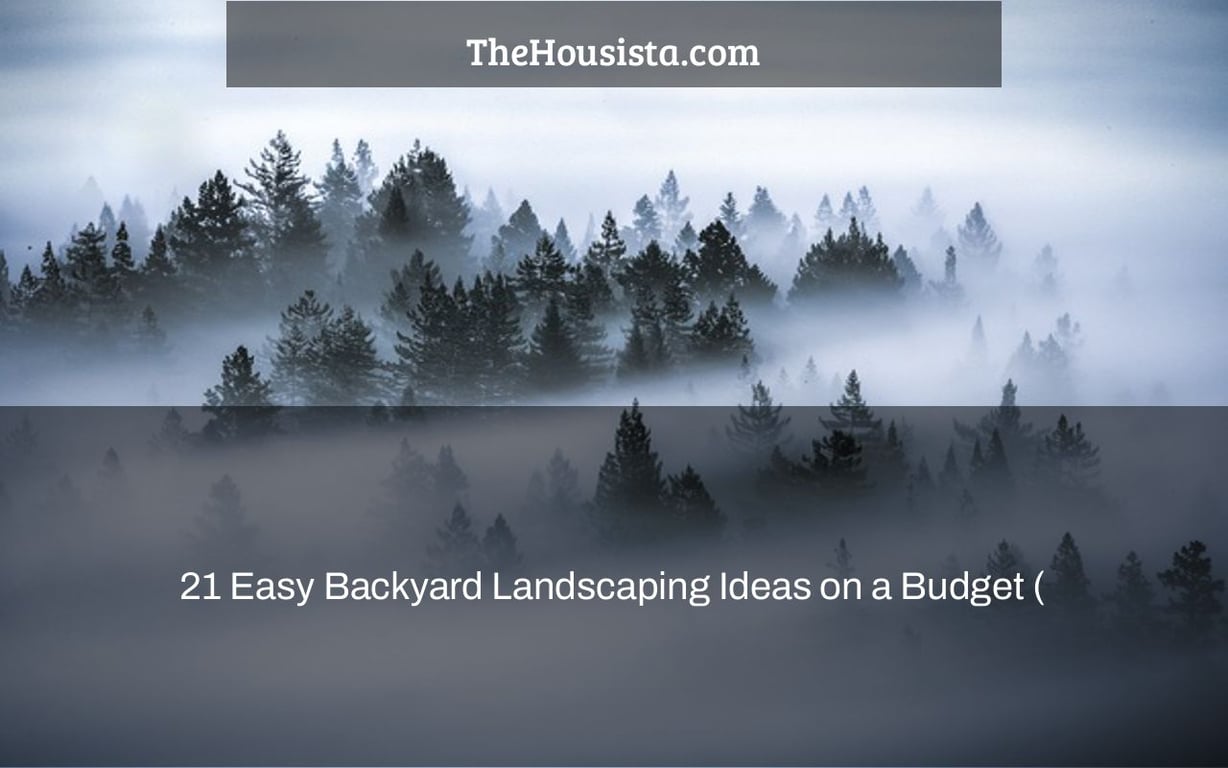21 Easy Backyard Landscaping Ideas on a Budget ( #15 is so Cute!) 2022