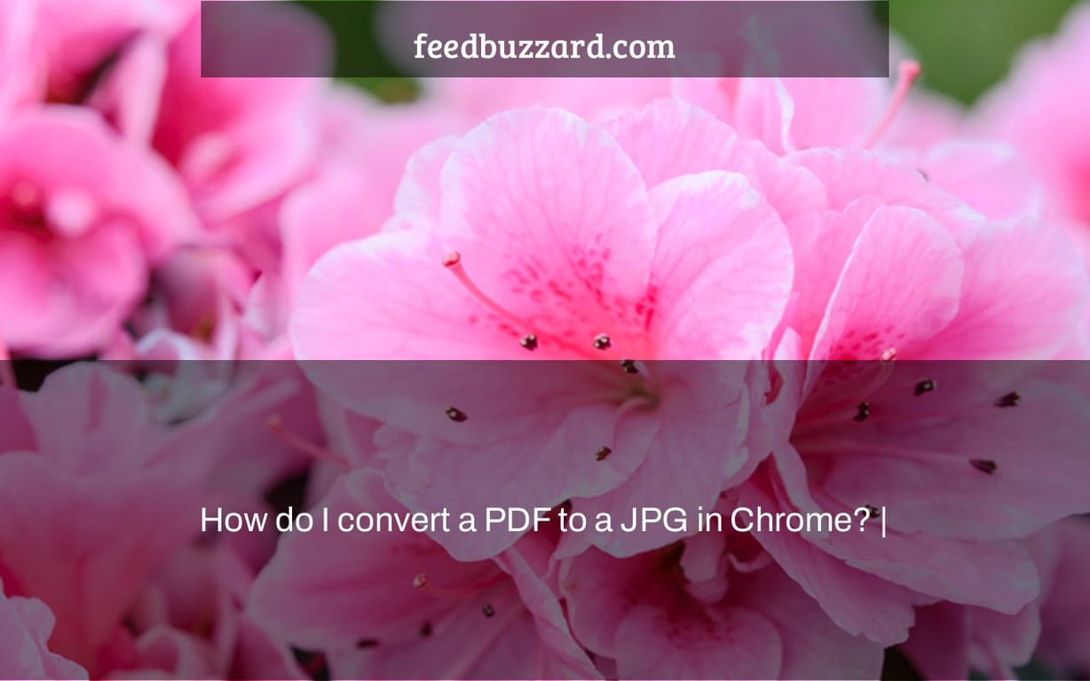 How do I convert a PDF to a JPG in Chrome? |
