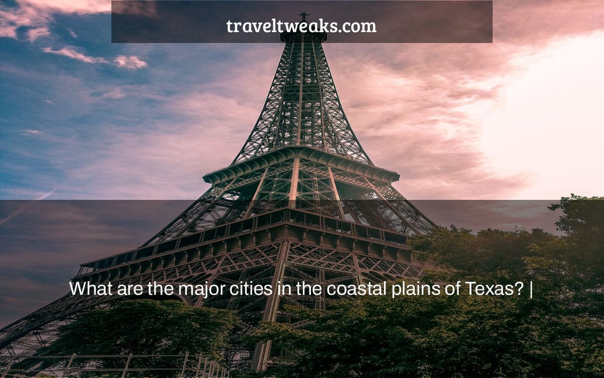 What are the major cities in the coastal plains of Texas? |