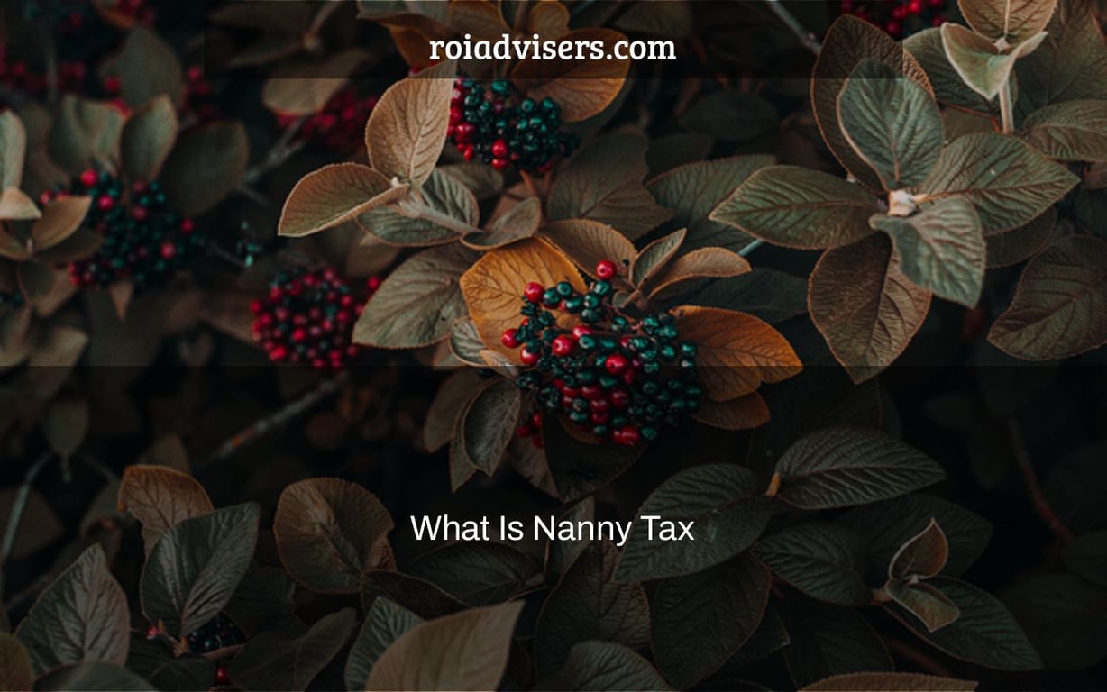 What Is Nanny Tax & How to Pay It in 2022