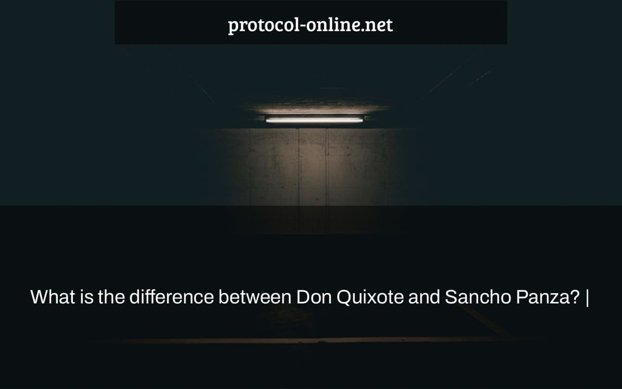 What is the difference between Don Quixote and Sancho Panza? |