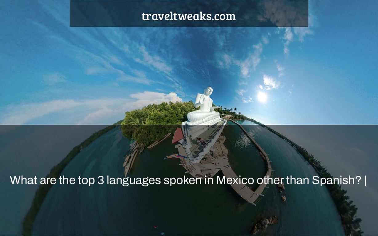 What are the top 3 languages spoken in Mexico other than Spanish? |