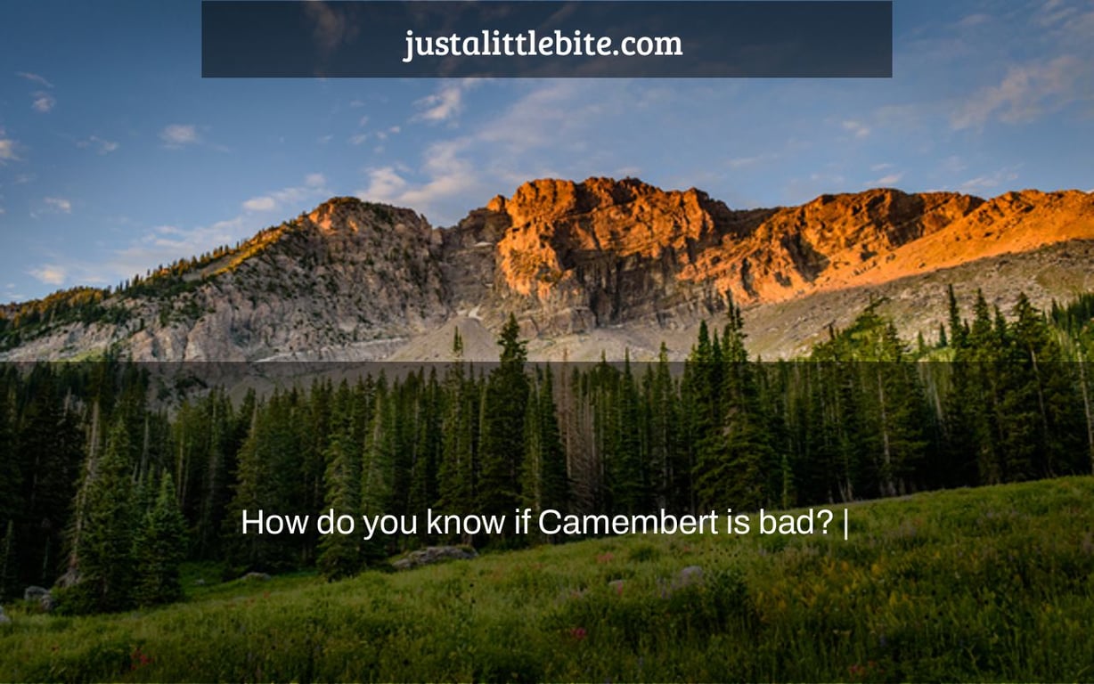 How do you know if Camembert is bad? |