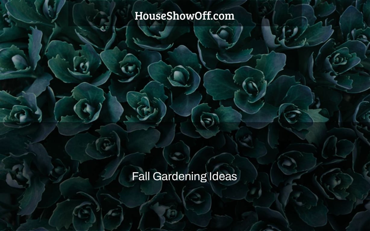 Fall Gardening Ideas