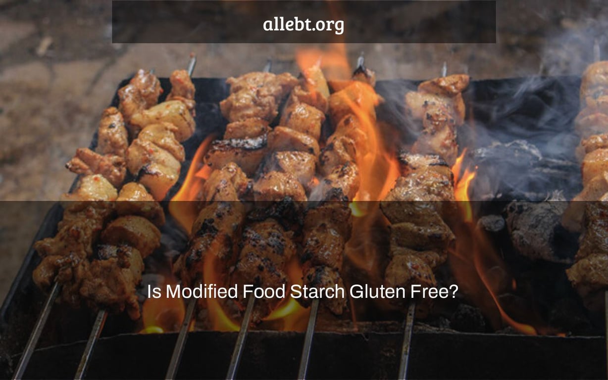 Is Modified Food Starch Gluten Free?