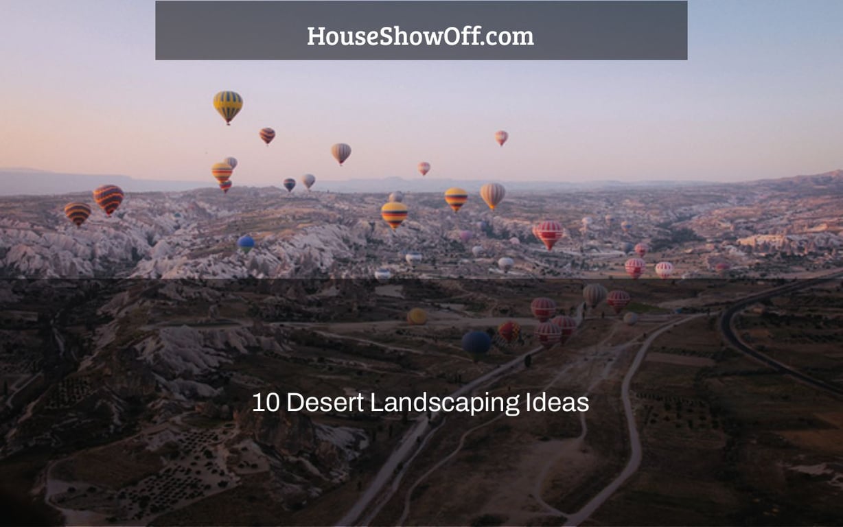 10 Desert Landscaping Ideas