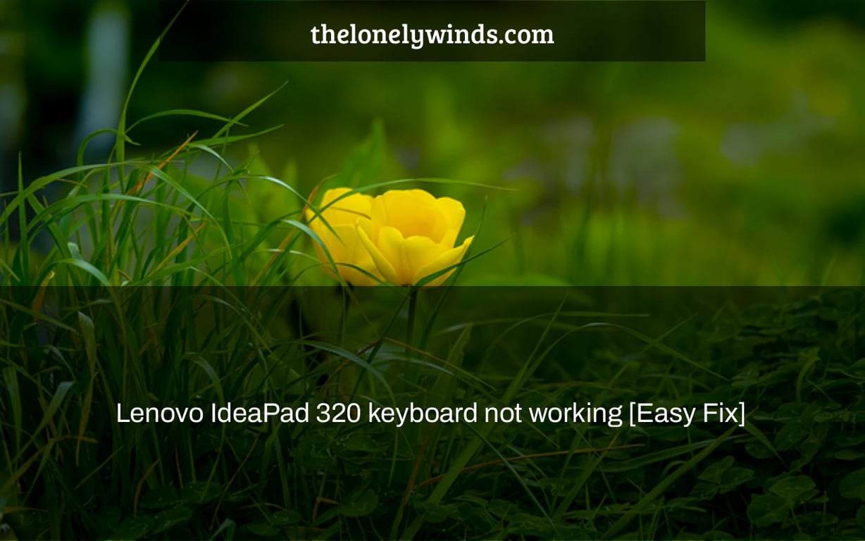Lenovo IdeaPad 320 keyboard not working [Easy Fix]