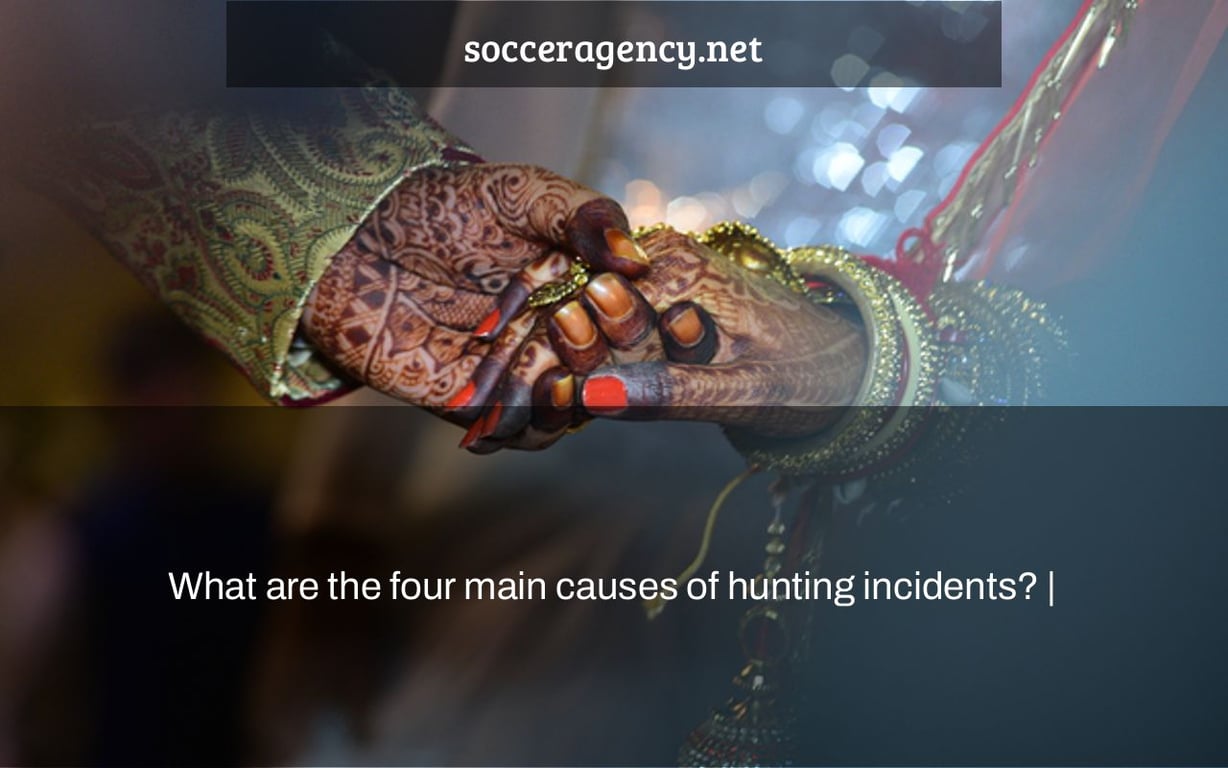 What are the four main causes of hunting incidents? |