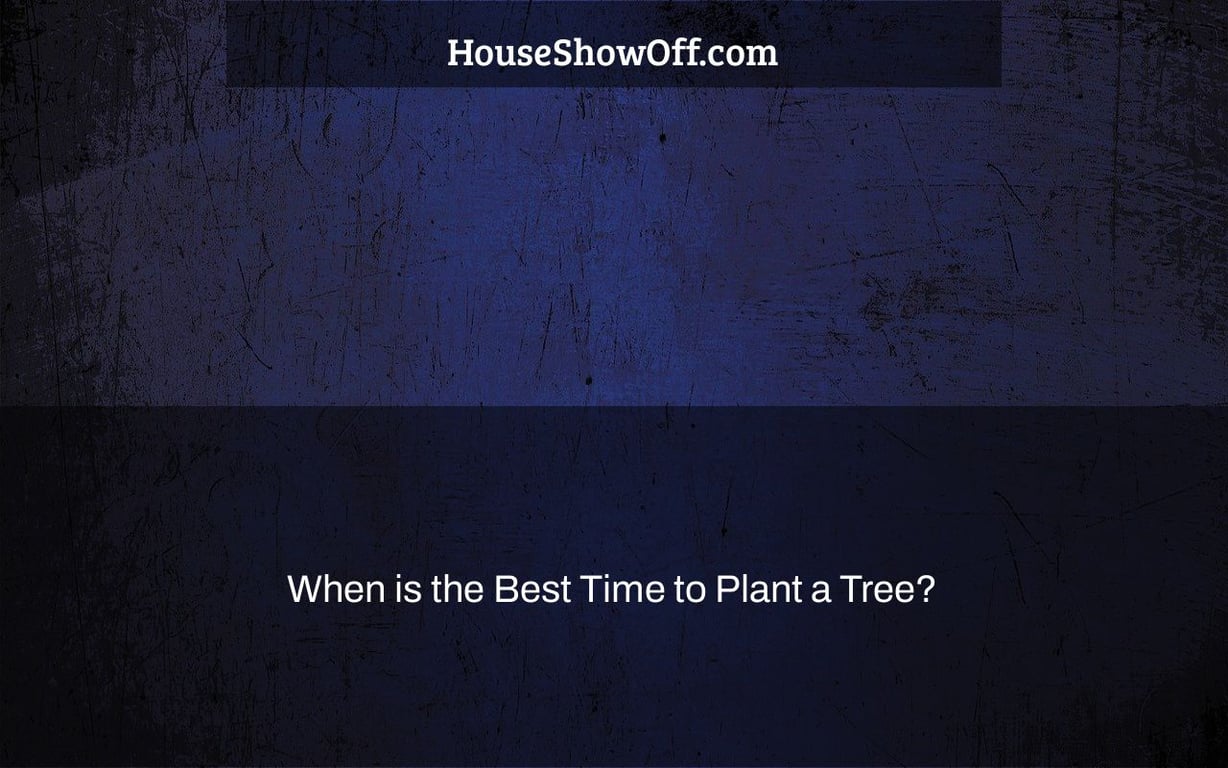 When is the Best Time to Plant a Tree?